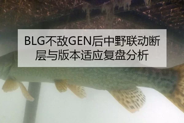 BLG不敌GEN后中野联动断层与版本适应复盘分析