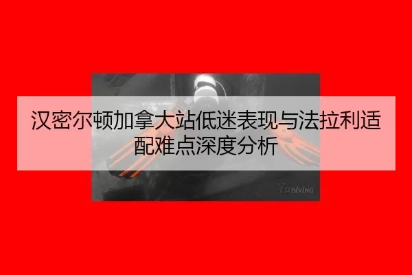 han-mi-er-dun-jia-na-da-zhan-di-mi-biao-xian-yu-fa-la-li-shi-pei-nan-dian-shen-du-fen-xi-2-267.jpg