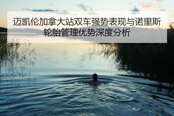 迈凯伦加拿大站双车强势表现与诺里斯轮胎管理优势深度分析